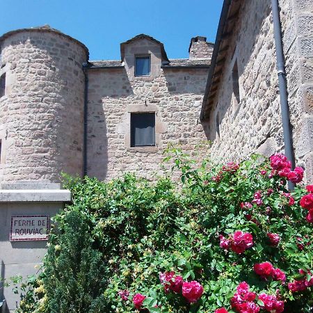 Gite De Rouviac Villa Castelnau-Pegayrols Exterior photo